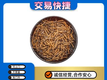 桦南县回收散虫草